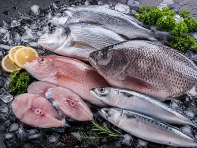 Sea Food